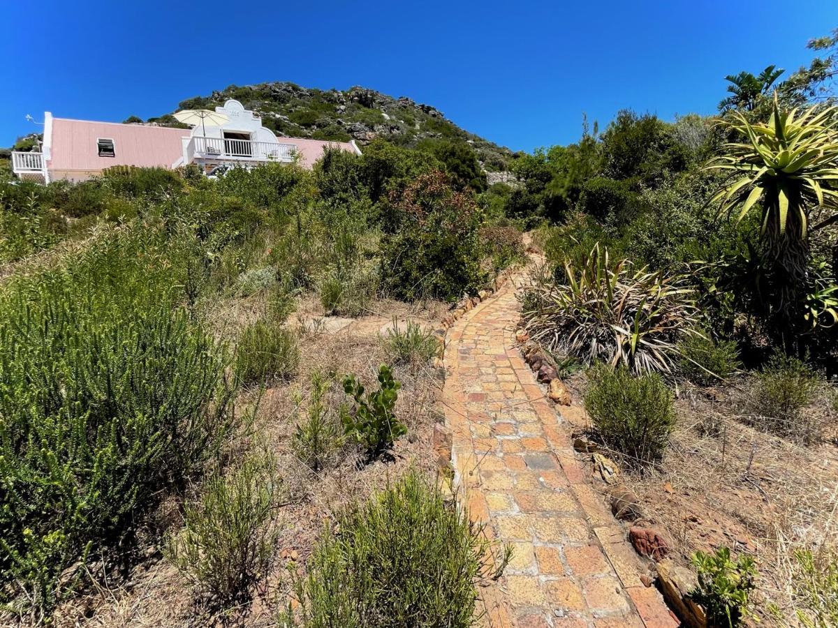 Windrose, Noordhoek, Sensationeller Meerblick Ciudad del Cabo Exterior foto